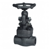 Forged steel globe valve