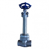 Forged steel globe valve