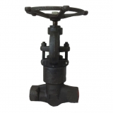 Forged steel globe valve