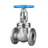 API Globe valve class150