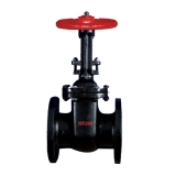 Cast Iron gate valve