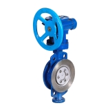 Butterfly Valve