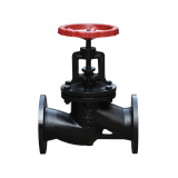 Cast iron globe valve